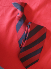 household division tie