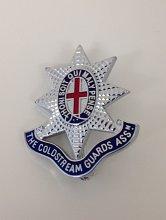 lapel pin